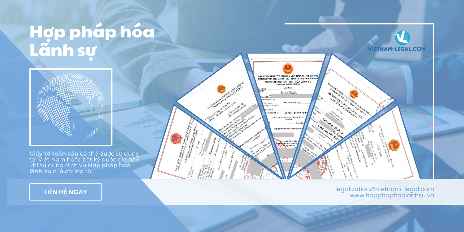 HPHLS VIE 2