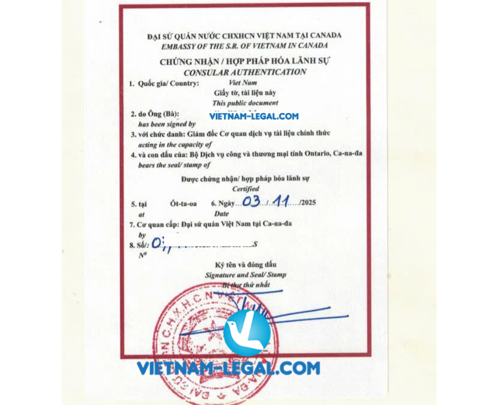 GMP canada dùng tại VN 03 11