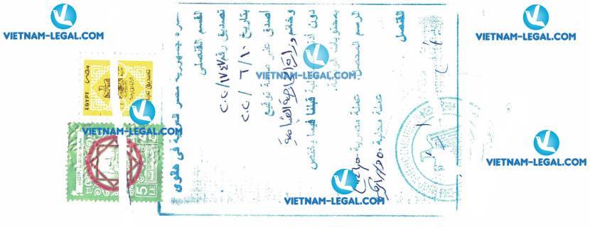 Legalization Result of Certificate of Origin in Vietnam for use in Egypt on 11 06 2020