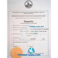 Apostilled USA VN 24 09 26
