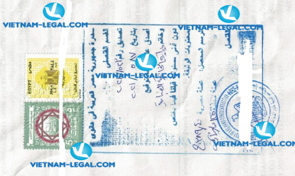 Result of Certicate of Origin issued in Vietnam for use in Egypt on 19 05 2021