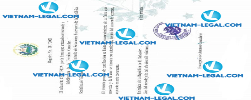 Result of Certificate of a Pharmaceutical Product issued in Vietnam for use in El Salvador on 30 07 2021