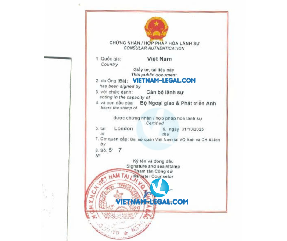 Thiết kế chưa có tên