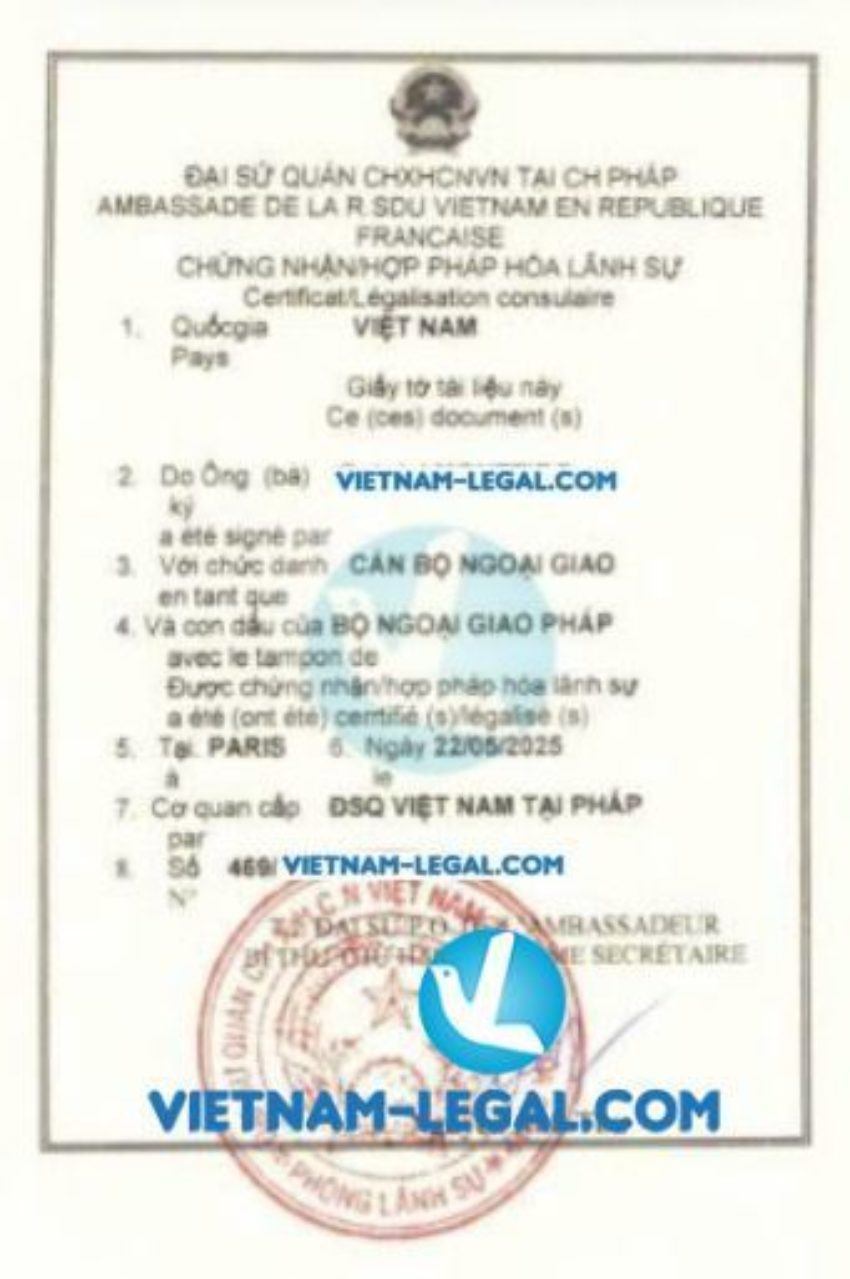 BCTC 2 Pháp dùng tại VN