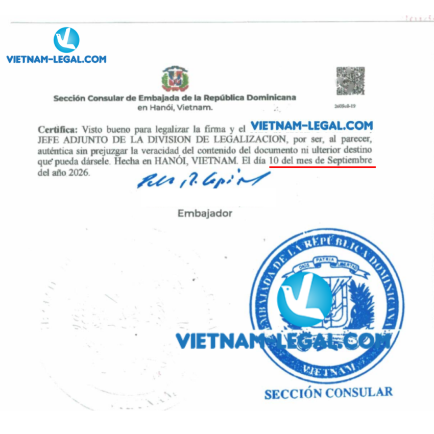 CFS Vn Dominica