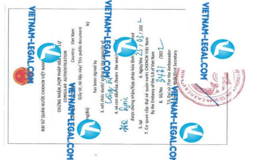 Legalization Result of Marriage Certificate issued in Syria for use in Vietnam on 23 2 2022