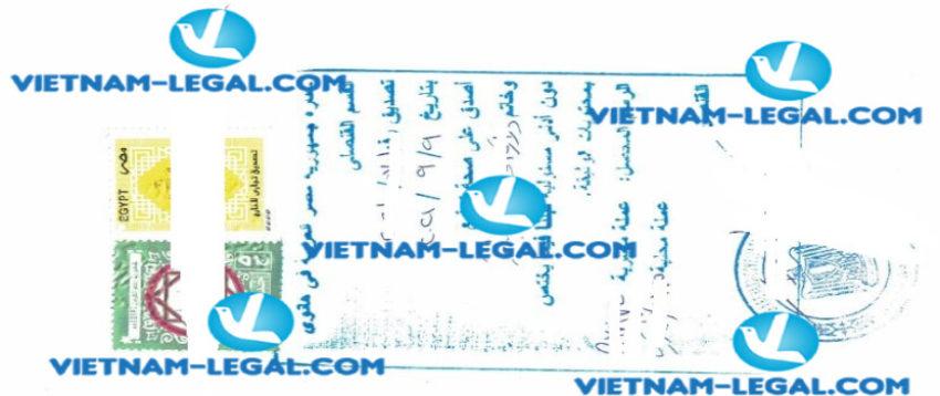 Result of Certificate of Origin issued in Vietnam for use in Egypt on 10 9 2021