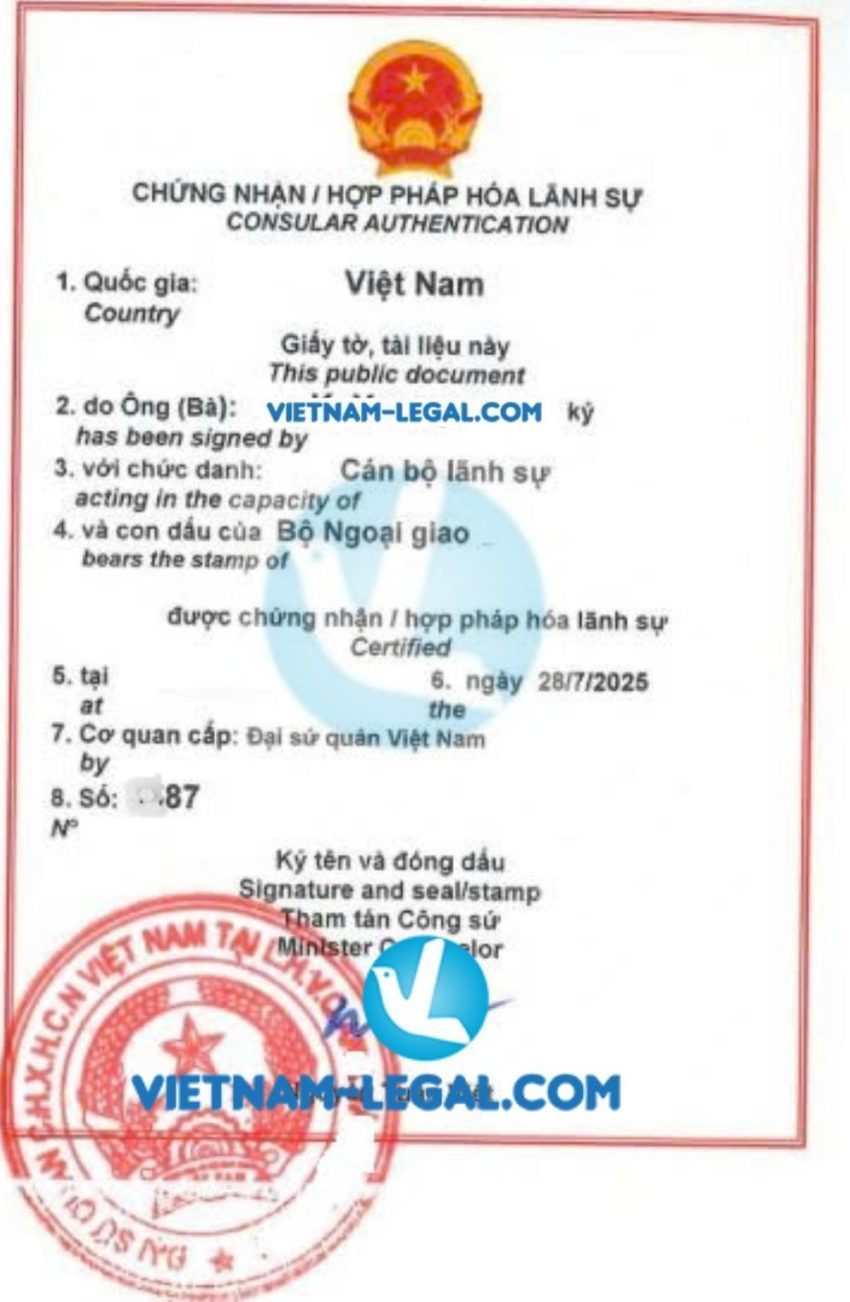 Giấy ủy quyền singapore dùng tại V Nam
