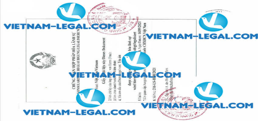 Result of Certificate of Registration as a Taxpayer issued in Germany for use in Vietnam on 14 09 2021