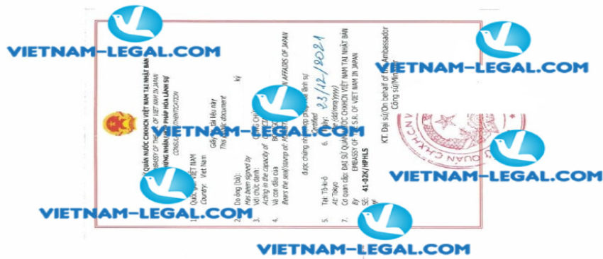 Result of Certificate of Working Experience issued in Japan for use in Vietnam on 23 12 2021