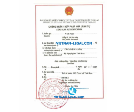 Bằng Thái VN để xin gplđ