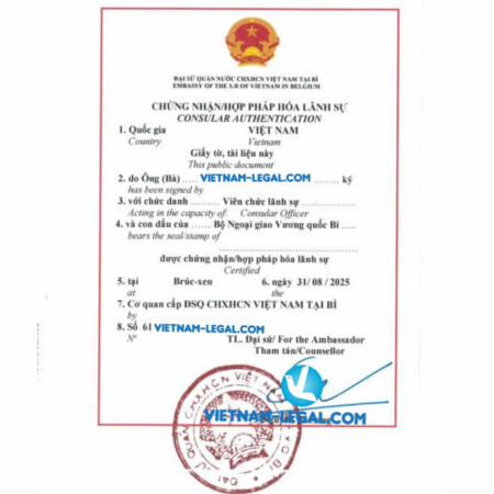 Bằng ĐH của Bỉ dùng tại VN