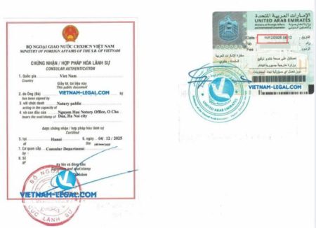 CFS dùng tại UAE 11 12