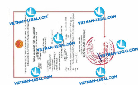 Kết quả hợp pháp hóa lãnh sự Thư ủy quyền cấp tại Singapore sử dụng tại Việt Nam ngày 12 1 2023