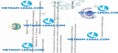 Result of Certificate of a Pharmaceutical Product no 76 issued in Vietnam for use in El Salvador on 30 07 2021