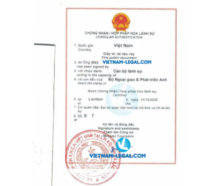 Thiết kế chưa có tên