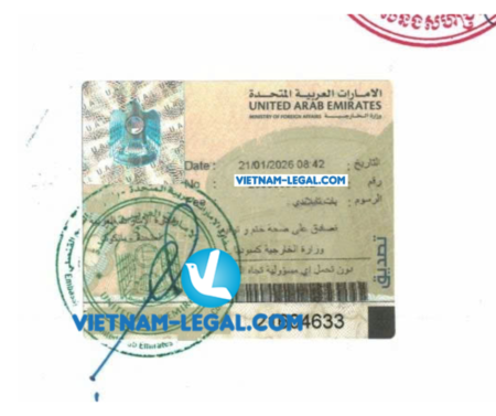 Thiết kế chưa có tên