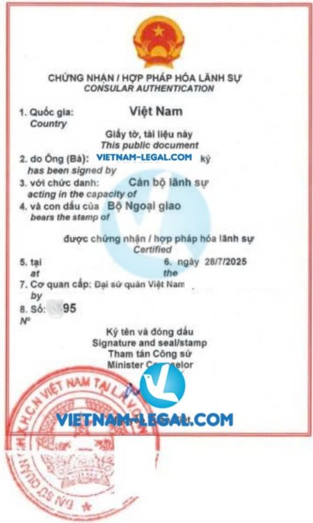 Tài liệu giấy tờ công ty BVI dùng tại Việt Nam