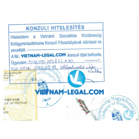 LLTP Vn Hungary 19 05 26