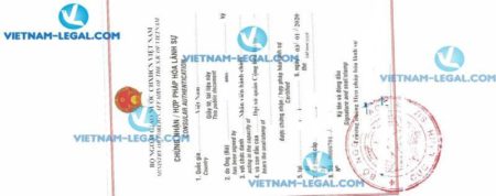 Legalization Result of Medicine Instructions of Italia for use in Vietnam on 03 01 2020