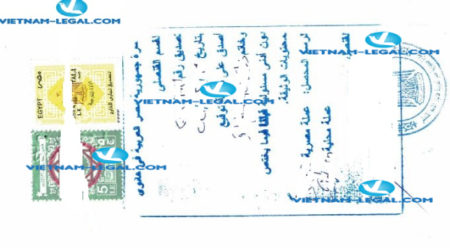 Result of Certificate of Origin CO issued in Vietnam for use in Egypt on 12 04 2021