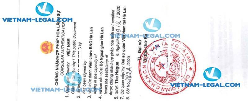 Apostille Result of Company Document issued in The Netherlands for use in Vietnam on 19 02 2020