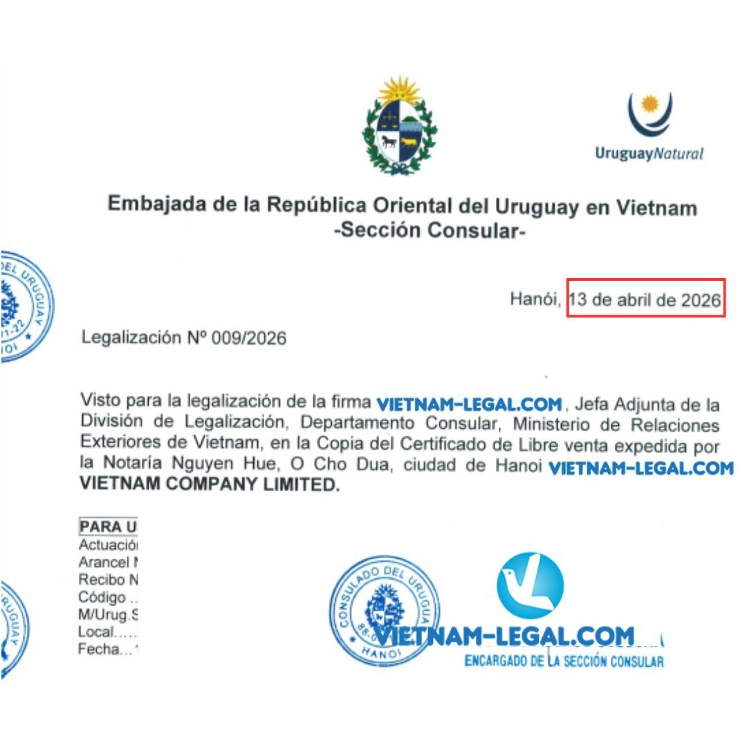 CFS Vn Uruguay 13 04 26