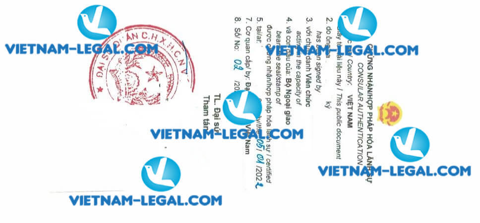 Legalization result of GMP issued in Netherland for use in Vietnam on 05 01 2022