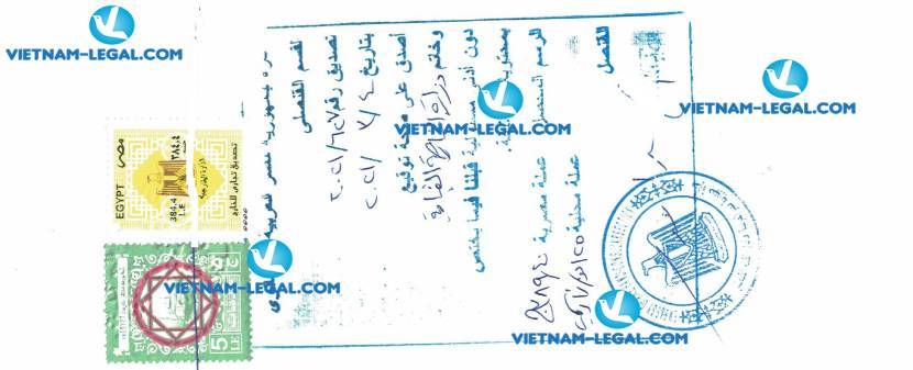 Result of Certificate of Origin in Vietnam for use in Egypt on 06 03 2021