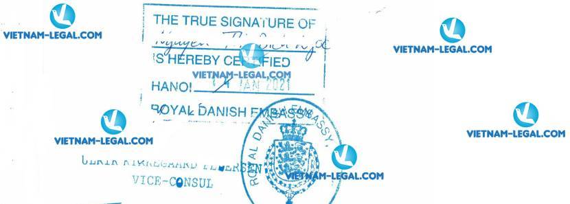 Result of Single Status Certificate issued in Vietnam for use in Denmark on 14 01 2021